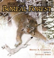 Life in the Boreal Forest