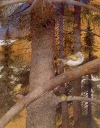 Life in the Boreal Forest