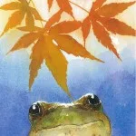 Country Frog in Autumn