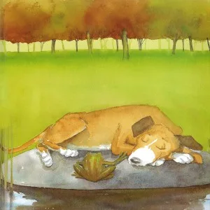 an afternoon dog-nap