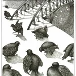 Ten Birds
