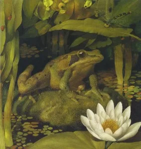 Frog Song-Canadian Wood Frog