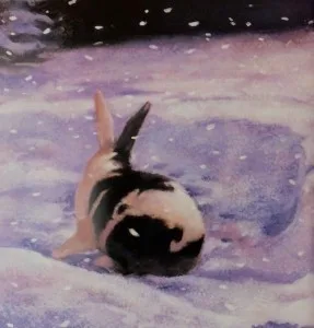 On a Snowy Night cover2