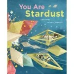 You are Stardust cover