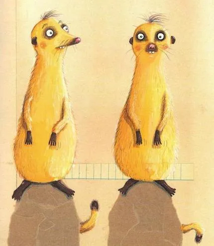 Meerkat details