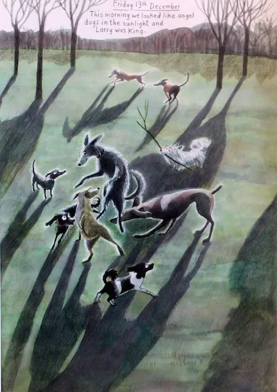 Plumdog shadows
