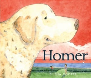 Homer cover