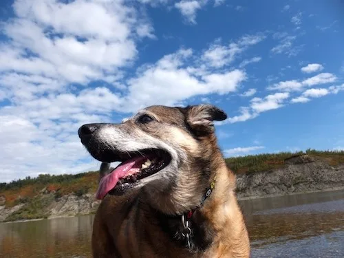 Maggie