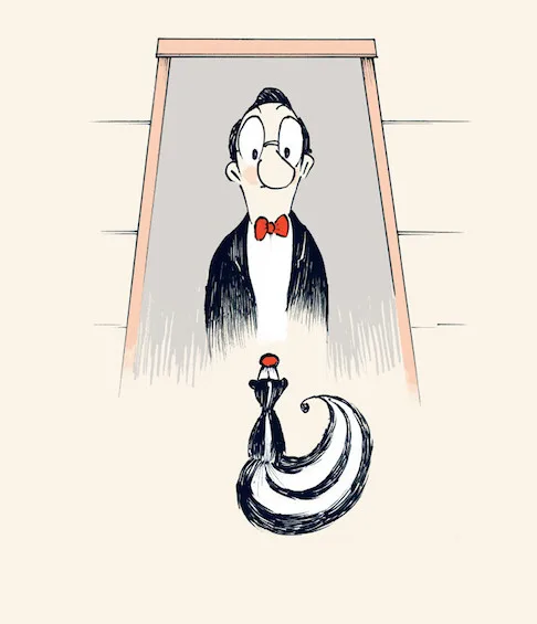 The Skunk looking up