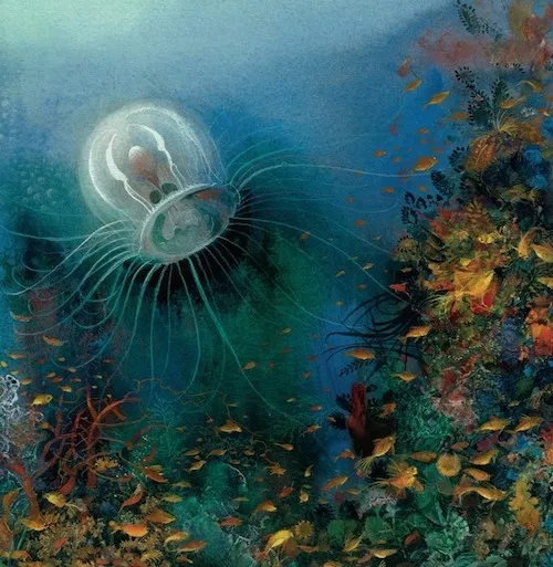 Most Amazing Box Jellyfish