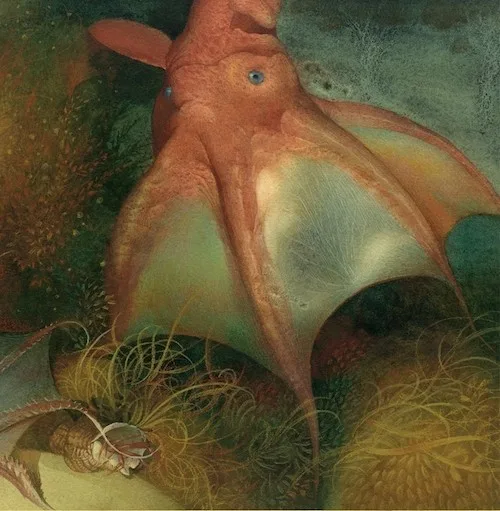 Most Amazing Vampire Squid